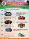 Tuần Văn hóa, Du lịch Điện Biên tại Hà Nội sẽ diễn ra từ ngày 15 đến ngày 17/12/2023