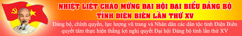 Dai hoi dang bo tinh