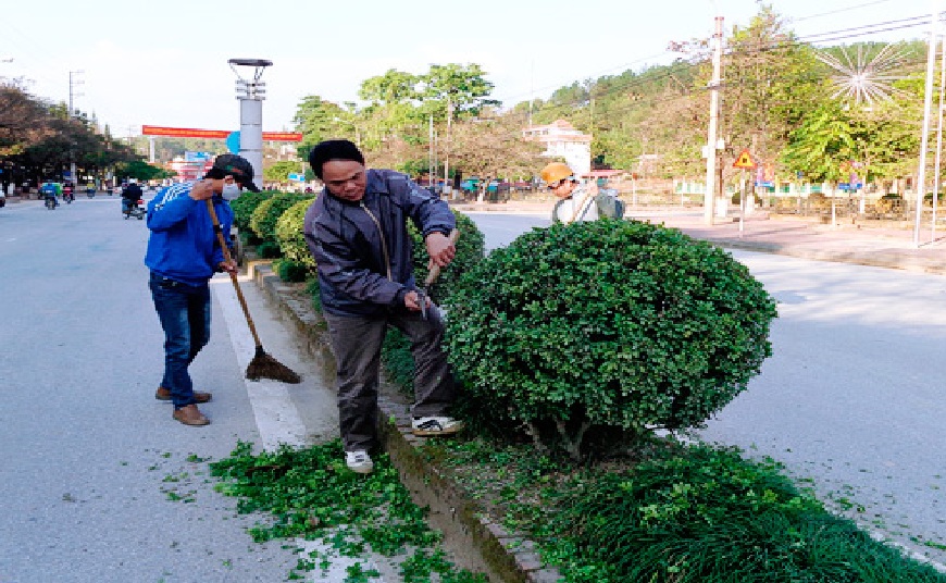 Công nhân Công ty Cổ phần Môi trường đô thị & Xây dựng cắt tỉa cây cảnh trên trục đường 7/5, TP. Điện Biên Phủ., ảnh: Hà Nam