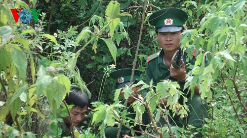 Bộ đội Biên phòng Điện Biên mật phục bắt vận chuyển ma túy (Ảnh: H.La)