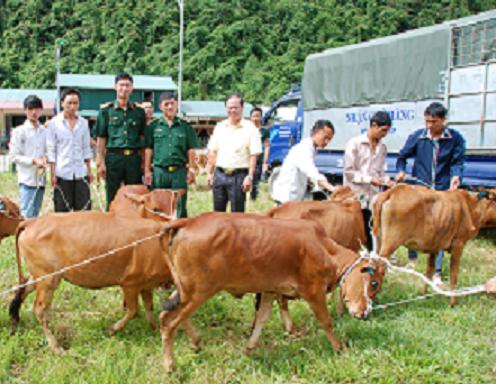 Lãnh đạo Chi nhánh Viettel Điện Biên cùng các cơ quan chức năng, chính quyền địa phương trao bò giống cho hộ nghèo xã Phu Luông, huyện Điện Biên. Ảnh: Mai Minh