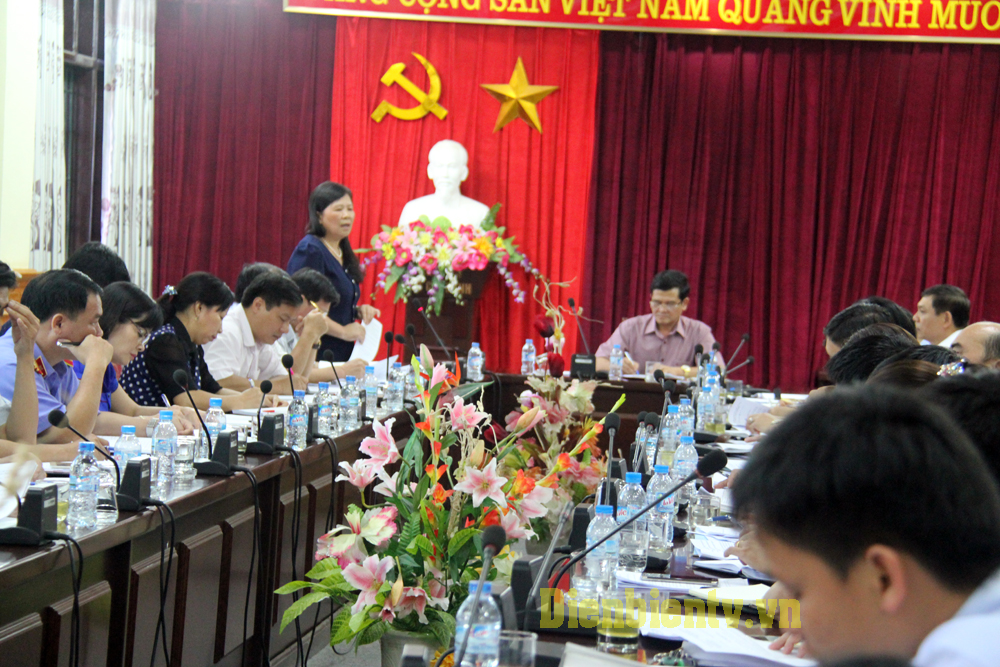 Đồng chí Giàng Thị Hoa, Phó Chủ tịch HĐND tỉnh tham gia vào các báo cáo, tờ trình của nội dung Kỳ họp thứ 2, HĐND tỉnh khóa XIV